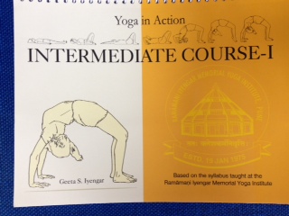 Yoga in Action - Intermediate Course