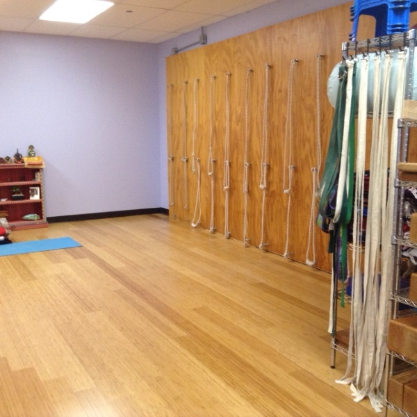 Yoga Mart USA new Studio Rope Wall